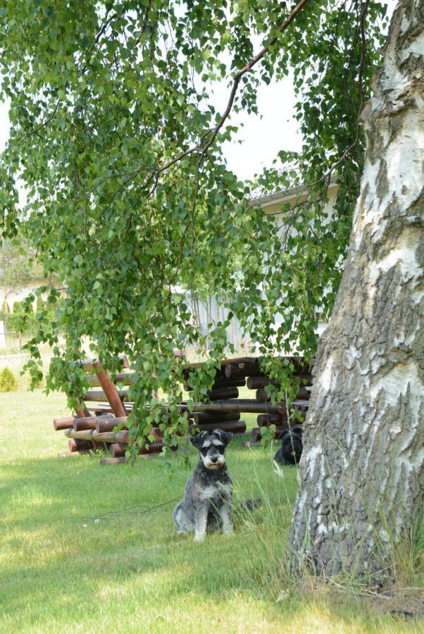 Holiday home Zakatek W Zaciszu *